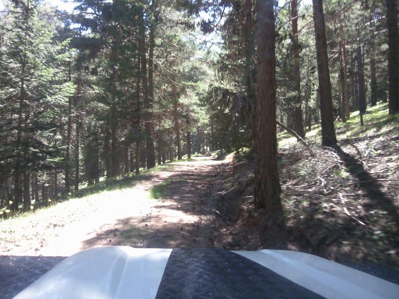 FotoÃƒÂƒÃ‚Â„ÃƒÂ‚Ã‚ÂŸraf-0098.jpg