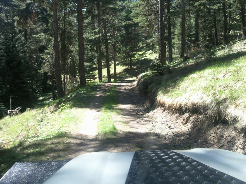 FotoÃƒÂƒÃ‚Â„ÃƒÂ‚Ã‚ÂŸraf-0099.jpg