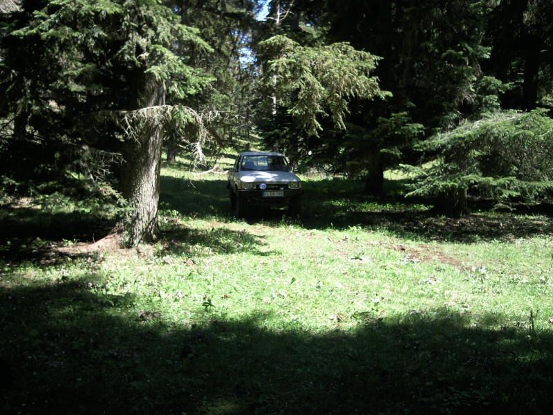 FotoÃƒÂƒÃ‚Â„ÃƒÂ‚Ã‚ÂŸraf-0100.jpg