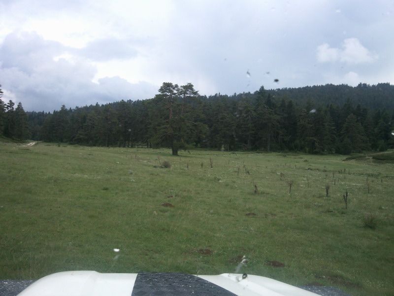 FotoÃƒÂƒÃ‚Â„ÃƒÂ‚Ã‚ÂŸraf-0101.jpg
