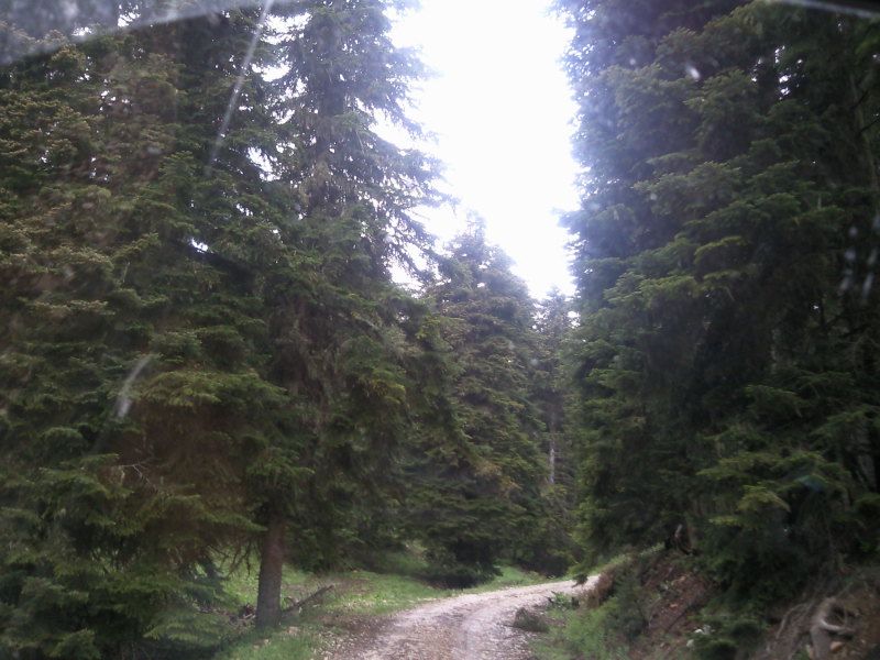 FotoÃƒÂƒÃ‚Â„ÃƒÂ‚Ã‚ÂŸraf-0102.jpg