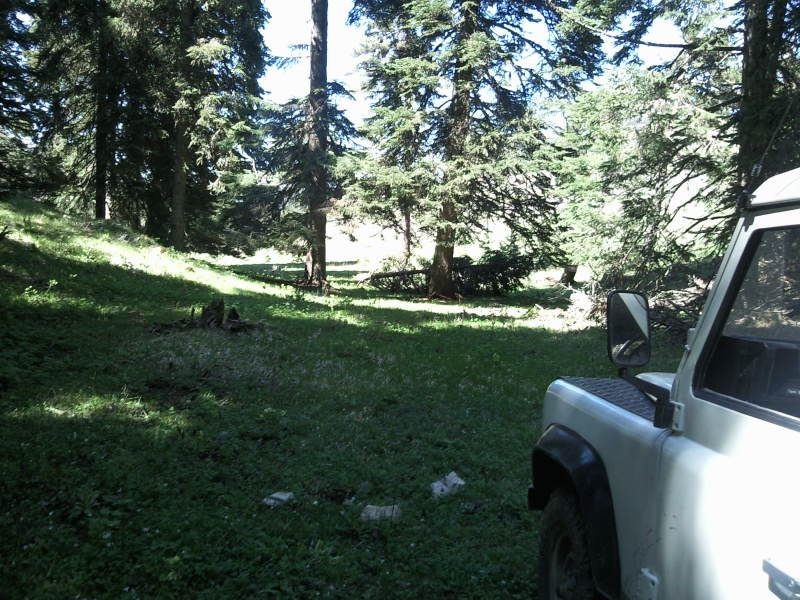 FotoÃƒÂƒÃ‚Â„ÃƒÂ‚Ã‚ÂŸraf-0103.jpg