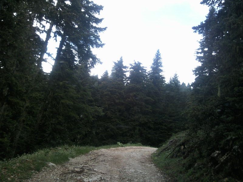 FotoÃƒÂƒÃ‚Â„ÃƒÂ‚Ã‚ÂŸraf-0104.jpg