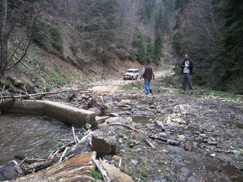 FotoÃƒÂƒÃ‚Â„ÃƒÂ‚Ã‚ÂŸraf-0105.jpg
