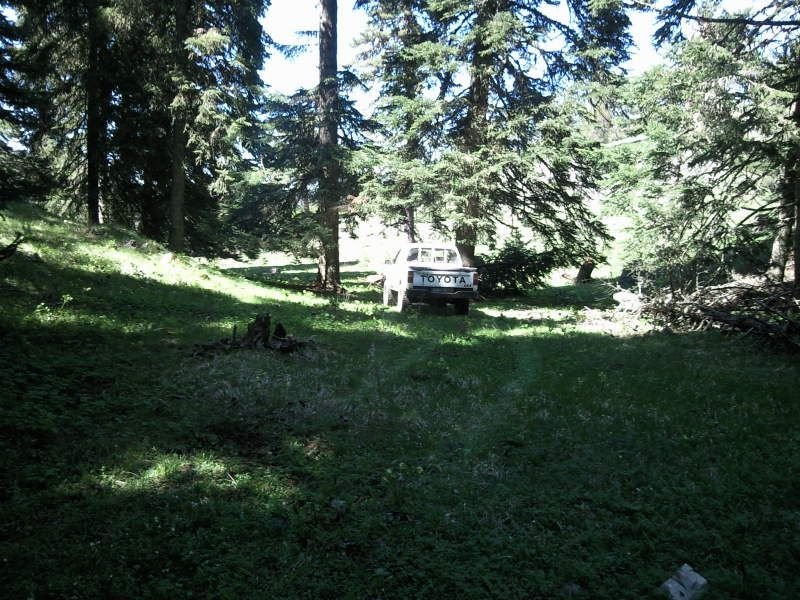 FotoÃƒÂƒÃ‚Â„ÃƒÂ‚Ã‚ÂŸraf-0105.jpg