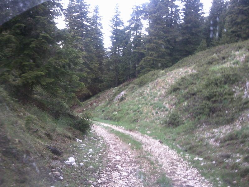 FotoÃƒÂƒÃ‚Â„ÃƒÂ‚Ã‚ÂŸraf-0105.jpg