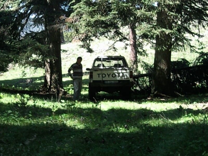 FotoÃƒÂƒÃ‚Â„ÃƒÂ‚Ã‚ÂŸraf-0106.jpg