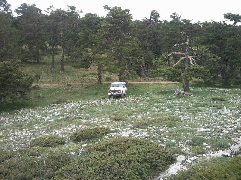 FotoÃƒÂƒÃ‚Â„ÃƒÂ‚Ã‚ÂŸraf-0106.jpg