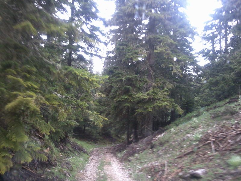 FotoÃƒÂƒÃ‚Â„ÃƒÂ‚Ã‚ÂŸraf-0106.jpg