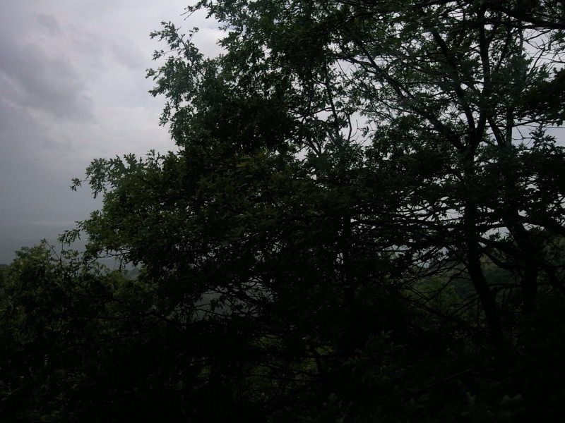 FotoÃƒÂƒÃ‚Â„ÃƒÂ‚Ã‚ÂŸraf-0106.jpg