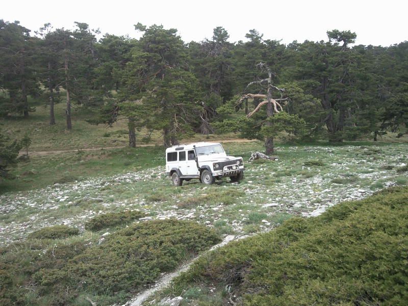 FotoÃƒÂƒÃ‚Â„ÃƒÂ‚Ã‚ÂŸraf-0107.jpg