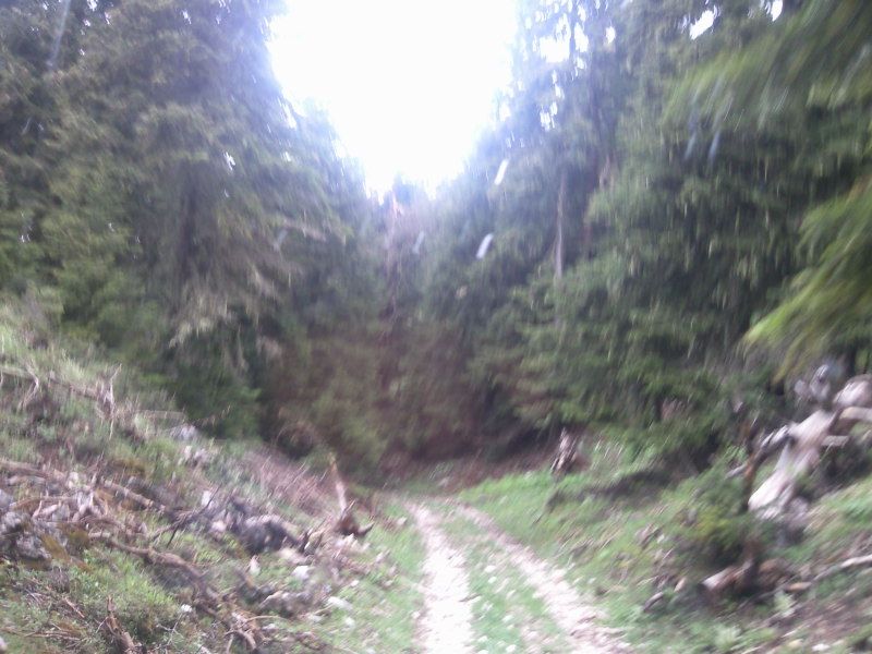 FotoÃƒÂƒÃ‚Â„ÃƒÂ‚Ã‚ÂŸraf-0107.jpg