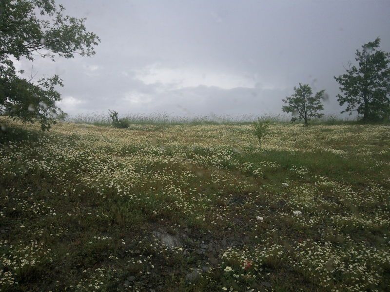 FotoÃƒÂƒÃ‚Â„ÃƒÂ‚Ã‚ÂŸraf-0107.jpg