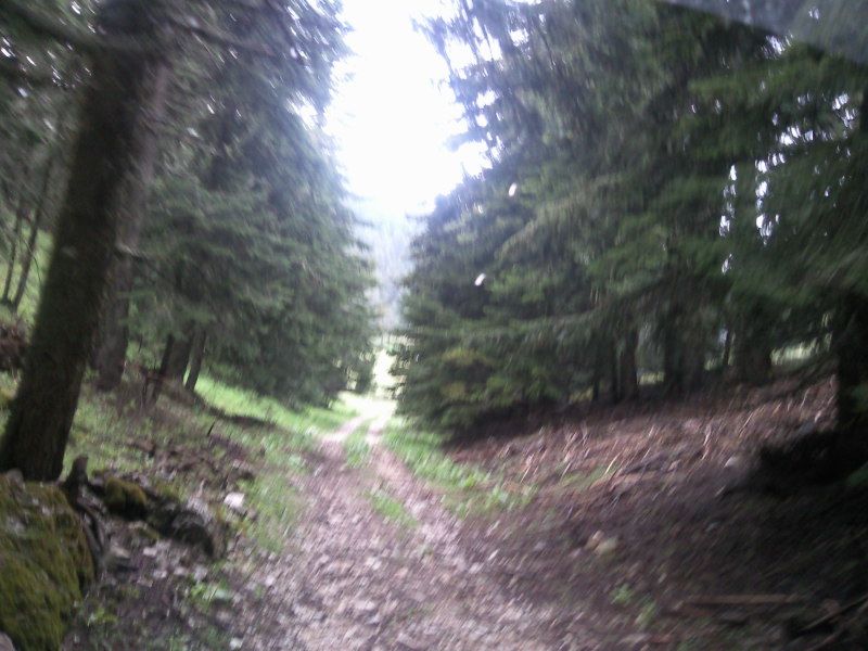 FotoÃƒÂƒÃ‚Â„ÃƒÂ‚Ã‚ÂŸraf-0108.jpg