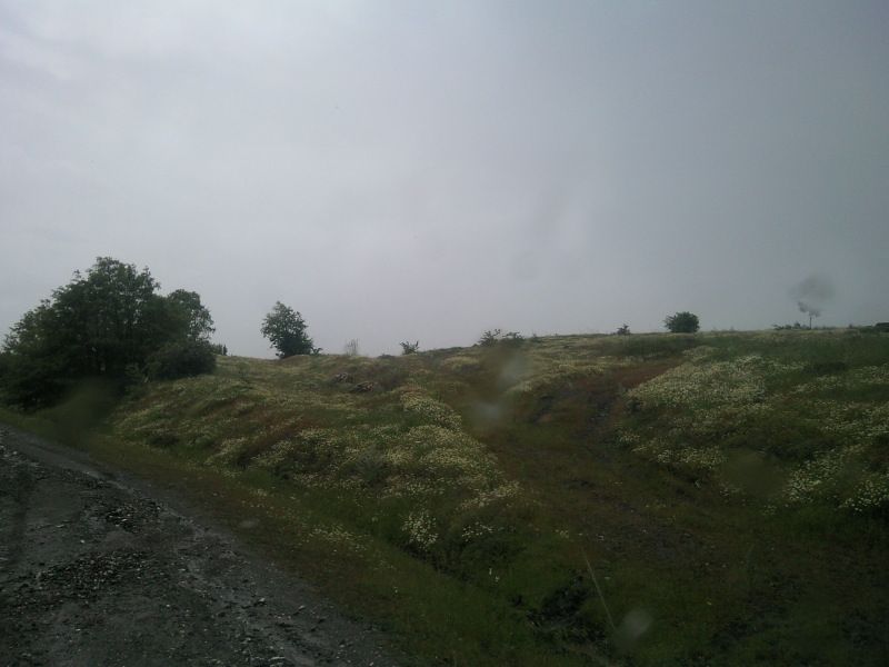 FotoÃƒÂƒÃ‚Â„ÃƒÂ‚Ã‚ÂŸraf-0108.jpg