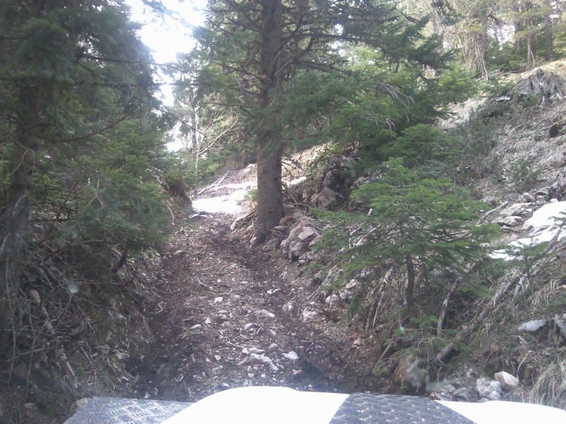 FotoÃƒÂƒÃ‚Â„ÃƒÂ‚Ã‚ÂŸraf-0110.jpg