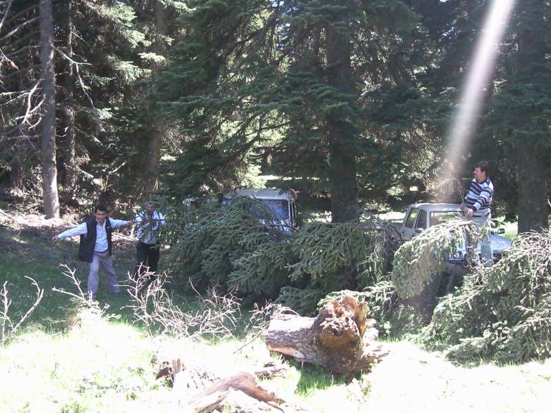 FotoÃƒÂƒÃ‚Â„ÃƒÂ‚Ã‚ÂŸraf-0110.jpg