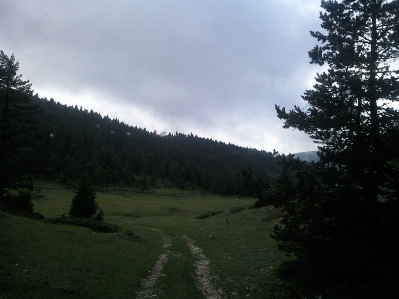 FotoÃƒÂƒÃ‚Â„ÃƒÂ‚Ã‚ÂŸraf-0110.jpg