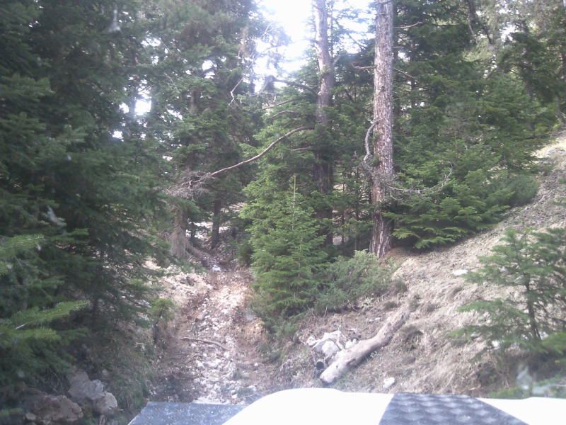 FotoÃƒÂƒÃ‚Â„ÃƒÂ‚Ã‚ÂŸraf-0111.jpg