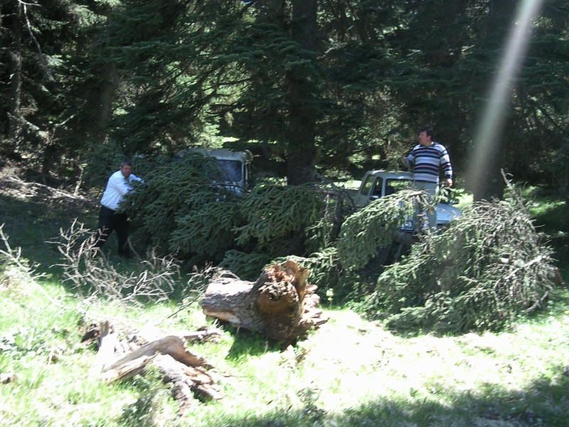 FotoÃƒÂƒÃ‚Â„ÃƒÂ‚Ã‚ÂŸraf-0111.jpg