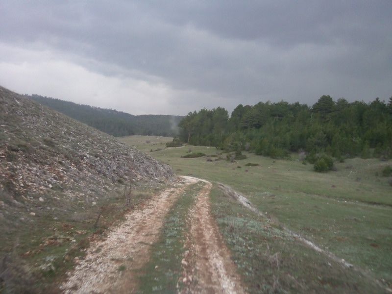 FotoÃƒÂƒÃ‚Â„ÃƒÂ‚Ã‚ÂŸraf-0113.jpg