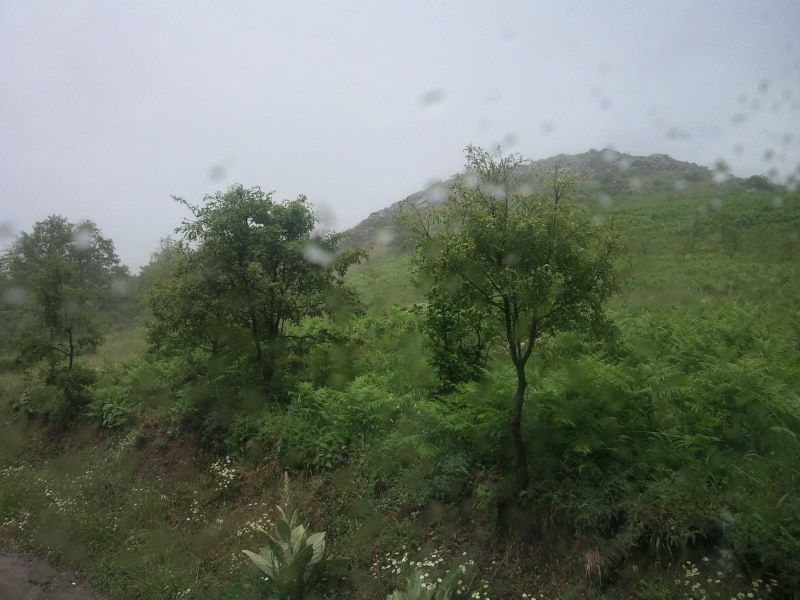 FotoÃƒÂƒÃ‚Â„ÃƒÂ‚Ã‚ÂŸraf-0114.jpg
