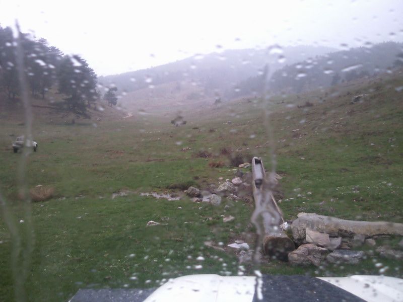 FotoÃƒÂƒÃ‚Â„ÃƒÂ‚Ã‚ÂŸraf-0118.jpg