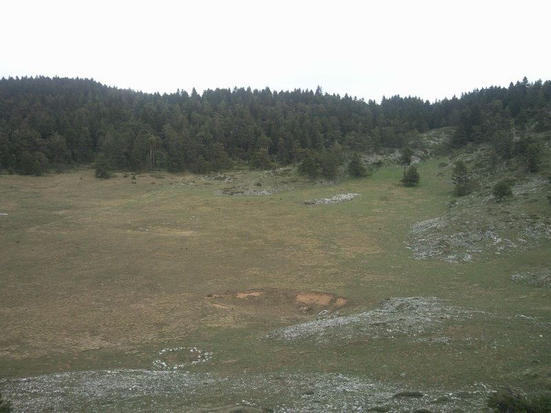 FotoÃƒÂƒÃ‚Â„ÃƒÂ‚Ã‚ÂŸraf-0120.jpg