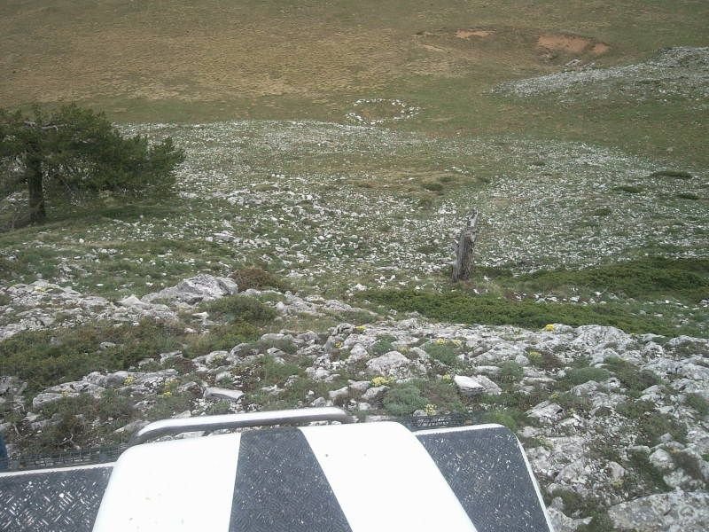 FotoÃƒÂƒÃ‚Â„ÃƒÂ‚Ã‚ÂŸraf-0121.jpg