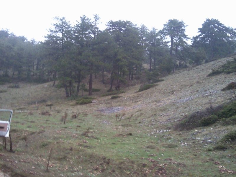 FotoÃƒÂƒÃ‚Â„ÃƒÂ‚Ã‚ÂŸraf-0122.jpg