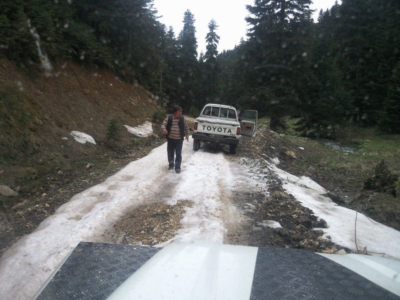 FotoÃƒÂƒÃ‚Â„ÃƒÂ‚Ã‚ÂŸraf-0122.jpg