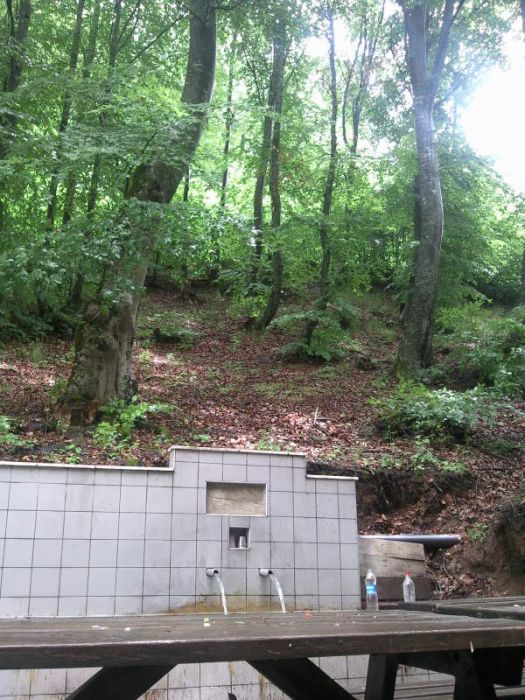FotoÃƒÂƒÃ‚Â„ÃƒÂ‚Ã‚ÂŸraf-0122.jpg