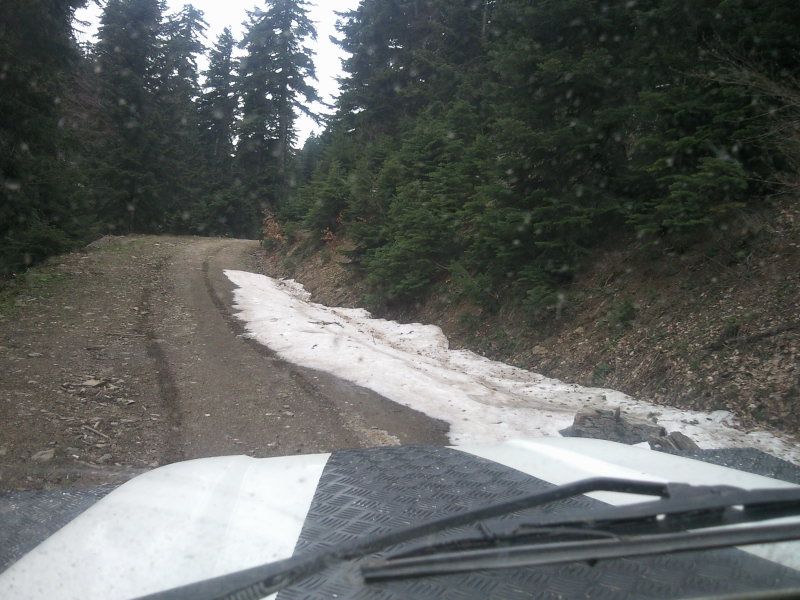 FotoÃƒÂƒÃ‚Â„ÃƒÂ‚Ã‚ÂŸraf-0124.jpg