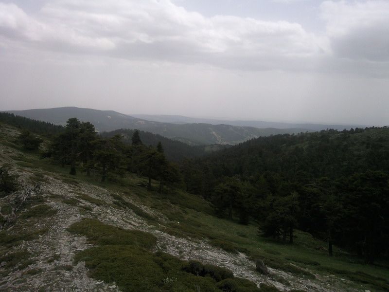 FotoÃƒÂƒÃ‚Â„ÃƒÂ‚Ã‚ÂŸraf-0124.jpg