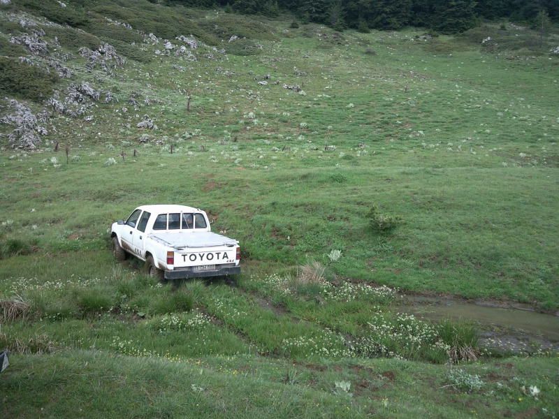 FotoÃƒÂƒÃ‚Â„ÃƒÂ‚Ã‚ÂŸraf-0125.jpg