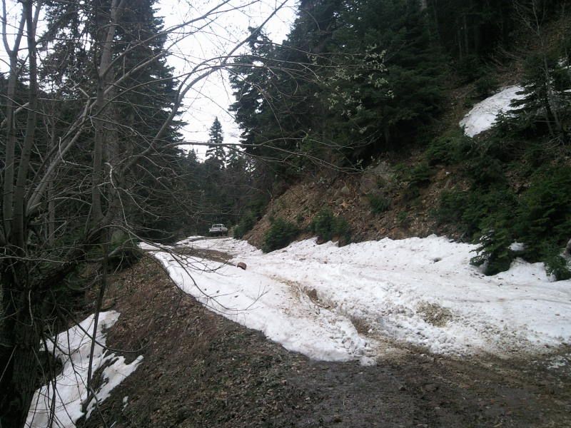 FotoÃƒÂƒÃ‚Â„ÃƒÂ‚Ã‚ÂŸraf-0127.jpg