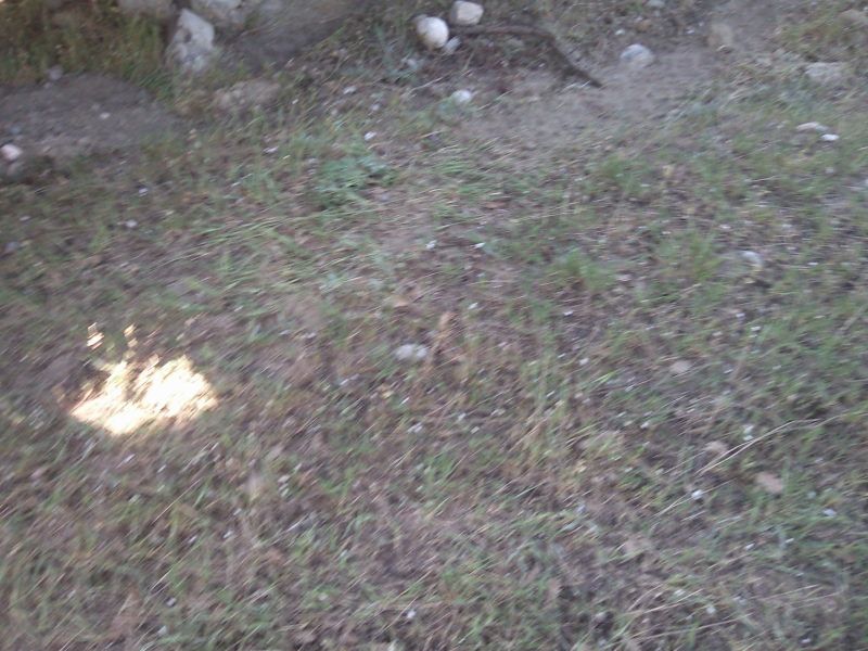 FotoÃƒÂƒÃ‚Â„ÃƒÂ‚Ã‚ÂŸraf-0130.jpg