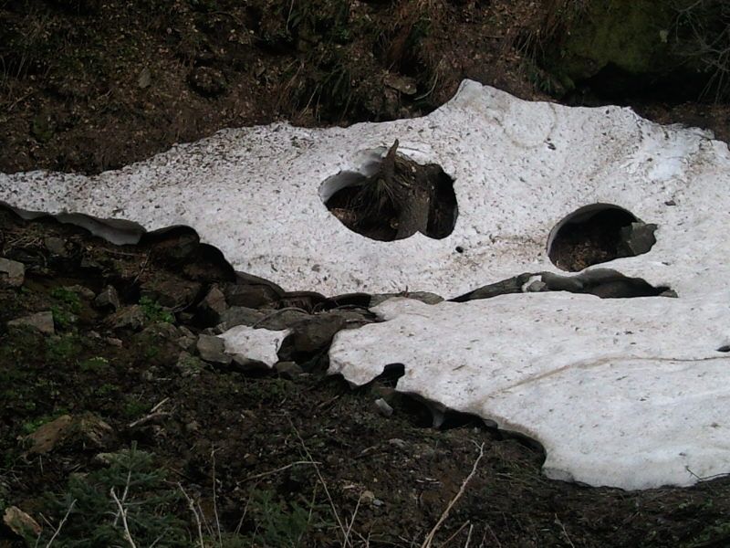 FotoÃƒÂƒÃ‚Â„ÃƒÂ‚Ã‚ÂŸraf-0132.jpg