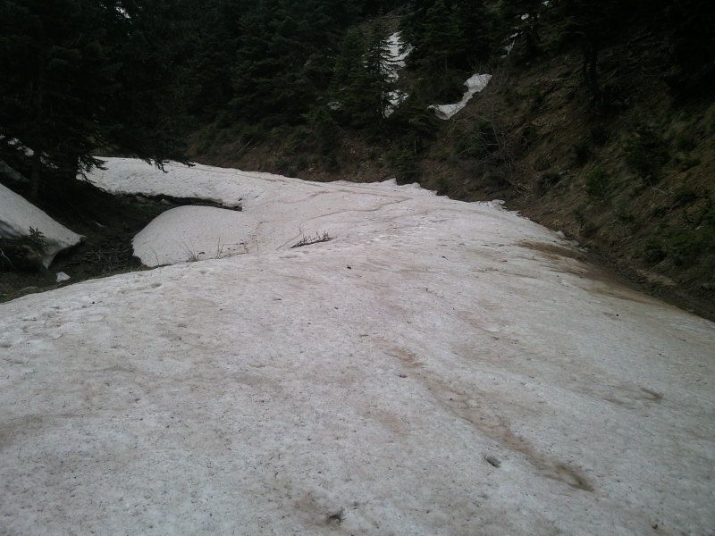FotoÃƒÂƒÃ‚Â„ÃƒÂ‚Ã‚ÂŸraf-0137.jpg