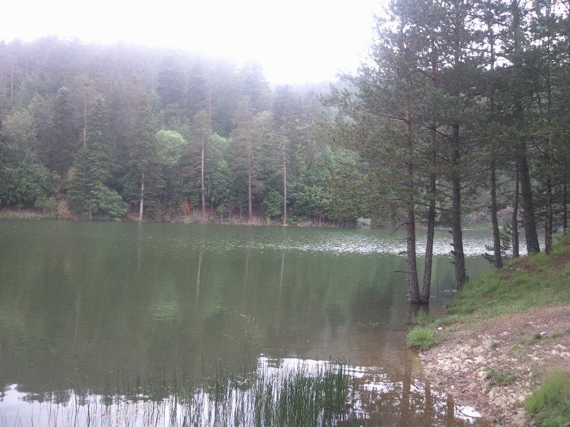 FotoÃƒÂƒÃ‚Â„ÃƒÂ‚Ã‚ÂŸraf-0138.jpg