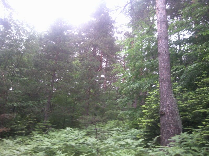 FotoÃƒÂƒÃ‚Â„ÃƒÂ‚Ã‚ÂŸraf-0139.jpg