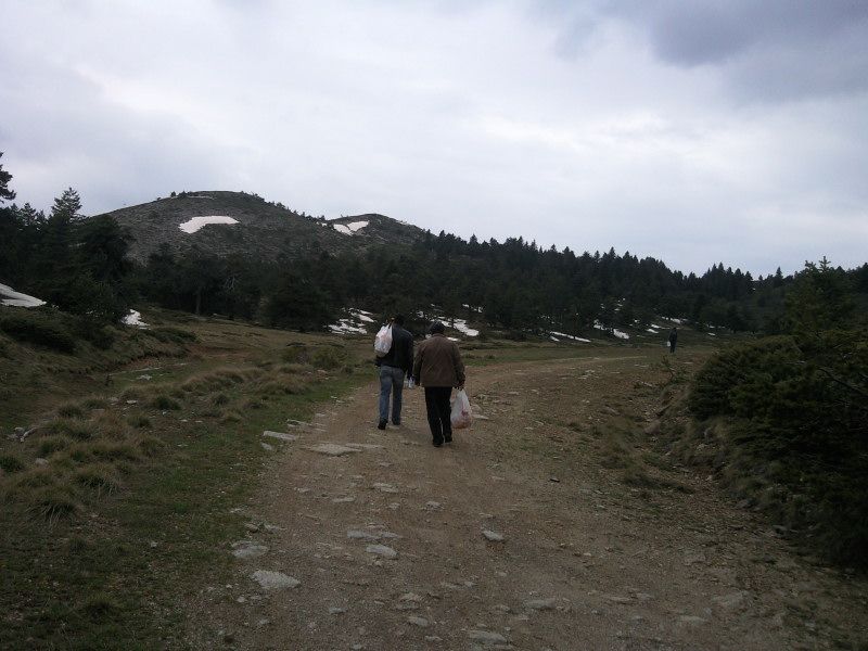 FotoÃƒÂƒÃ‚Â„ÃƒÂ‚Ã‚ÂŸraf-0141.jpg