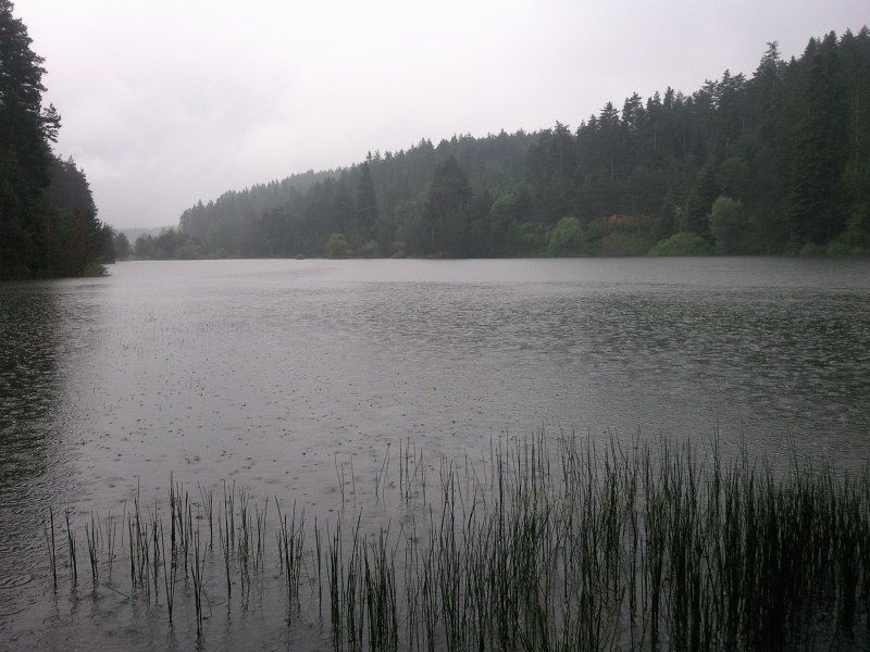 FotoÃƒÂƒÃ‚Â„ÃƒÂ‚Ã‚ÂŸraf-0141.jpg
