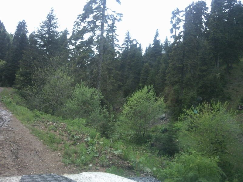 FotoÃƒÂƒÃ‚Â„ÃƒÂ‚Ã‚ÂŸraf-0142.jpg