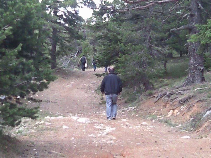 FotoÃƒÂƒÃ‚Â„ÃƒÂ‚Ã‚ÂŸraf-0143.jpg