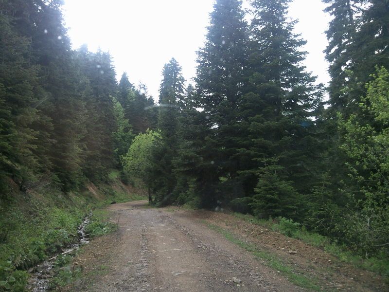 FotoÃƒÂƒÃ‚Â„ÃƒÂ‚Ã‚ÂŸraf-0143.jpg
