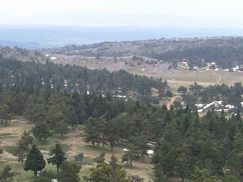 FotoÃƒÂƒÃ‚Â„ÃƒÂ‚Ã‚ÂŸraf-0144.jpg