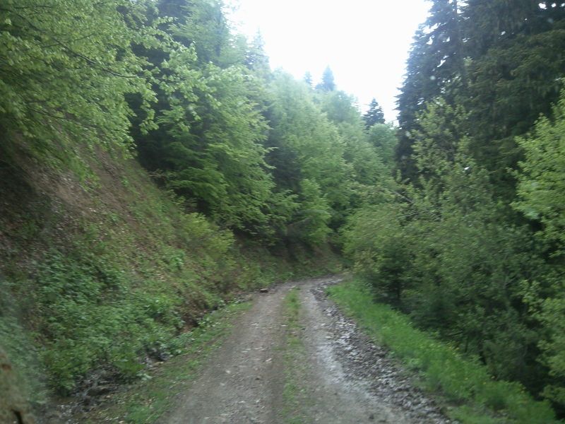 FotoÃƒÂƒÃ‚Â„ÃƒÂ‚Ã‚ÂŸraf-0144.jpg