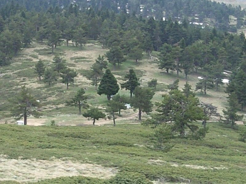 FotoÃƒÂƒÃ‚Â„ÃƒÂ‚Ã‚ÂŸraf-0145.jpg