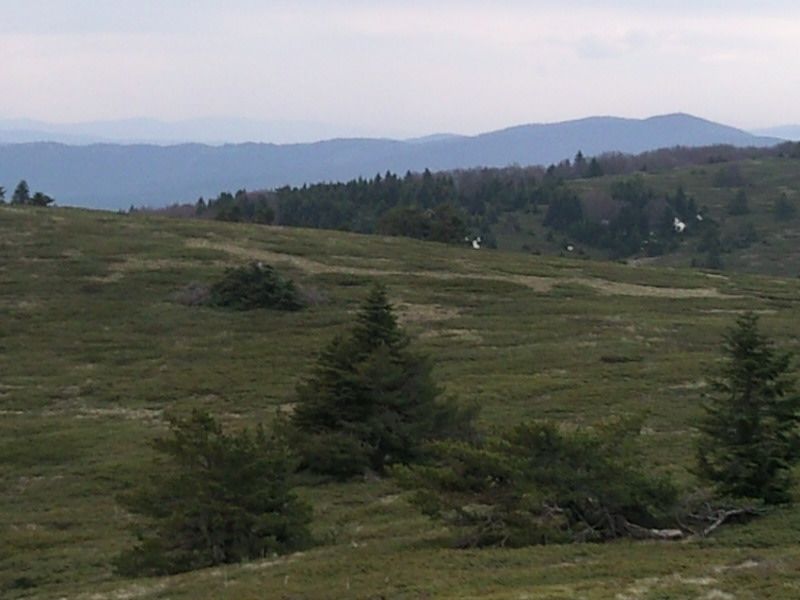FotoÃƒÂƒÃ‚Â„ÃƒÂ‚Ã‚ÂŸraf-0146.jpg
